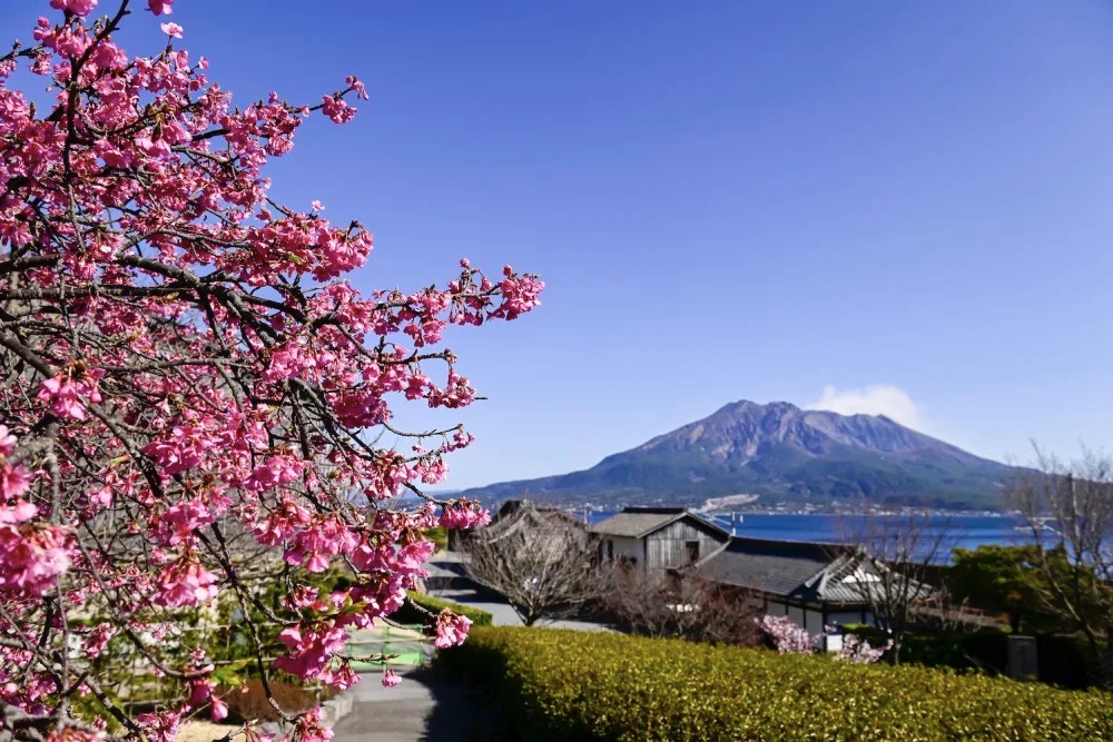 H_00114_001 Kagoshima - Grande